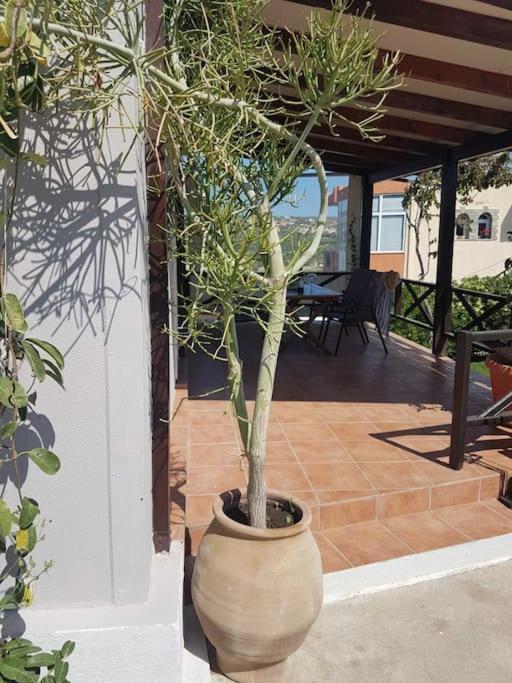 Vila Amalthia Sitia  Exteriér fotografie